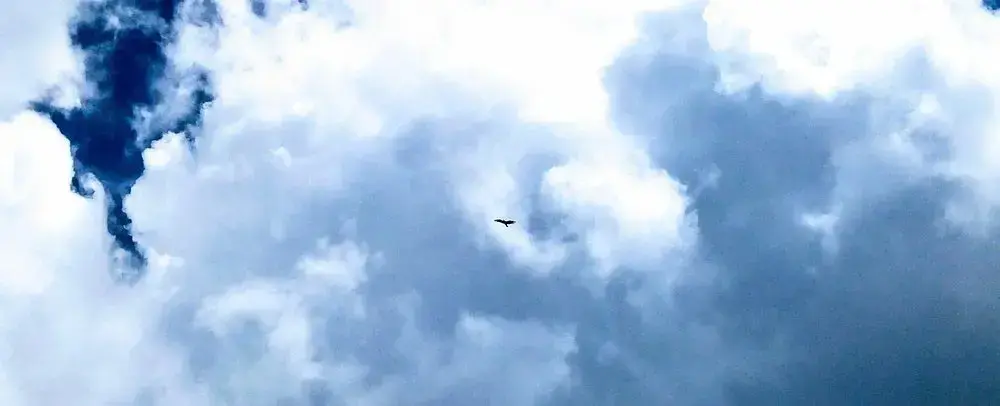 Imagen de la actividad Trekking al Mirador del Cóndor - Imagen 7